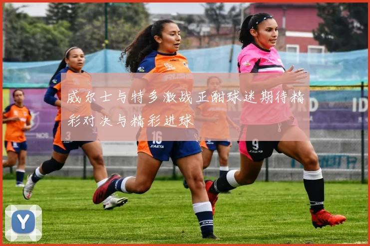 威尔士与特多激战正酣球迷期待精彩对决与精彩进球