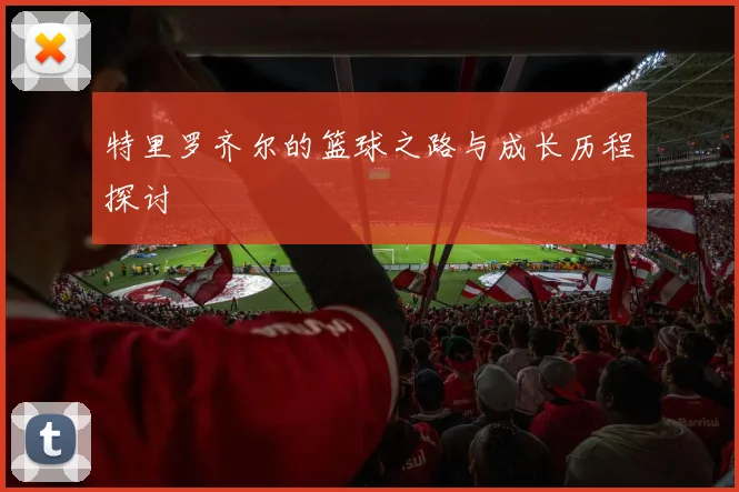特里罗齐尔的篮球之路与成长历程探讨