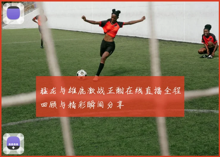猛龙与雄鹿激战正酣在线直播全程回顾与精彩瞬间分享