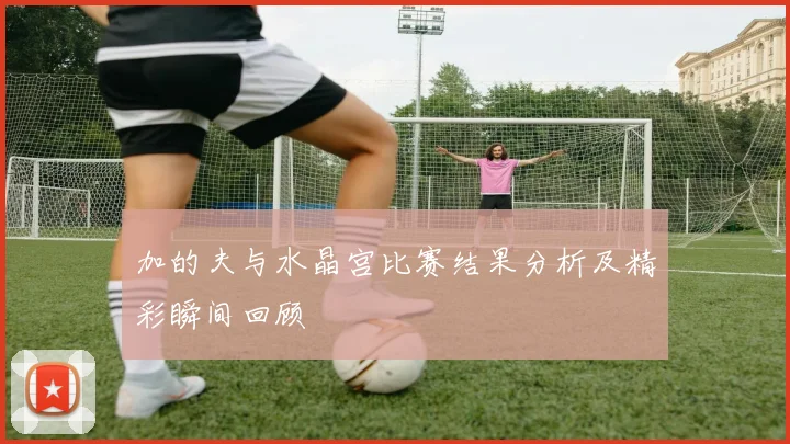 加的夫与水晶宫比赛结果分析及精彩瞬间回顾
