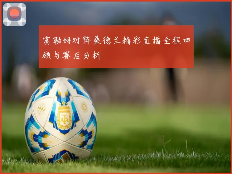 富勒姆对阵桑德兰精彩直播全程回顾与赛后分析