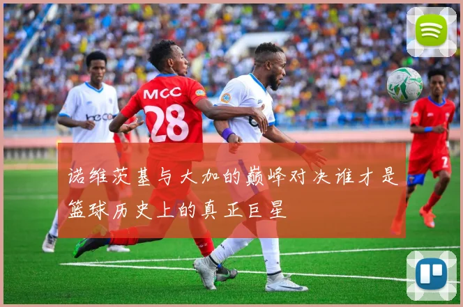 诺维茨基与大加的巅峰对决谁才是篮球历史上的真正巨星