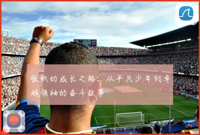 张帆的成长之路：从平凡少年到卓越领袖的奋斗故事