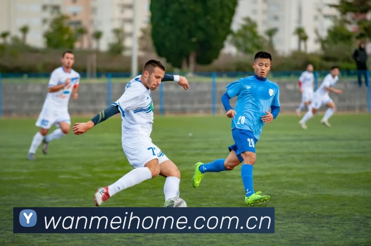 完美体育APP 封面图